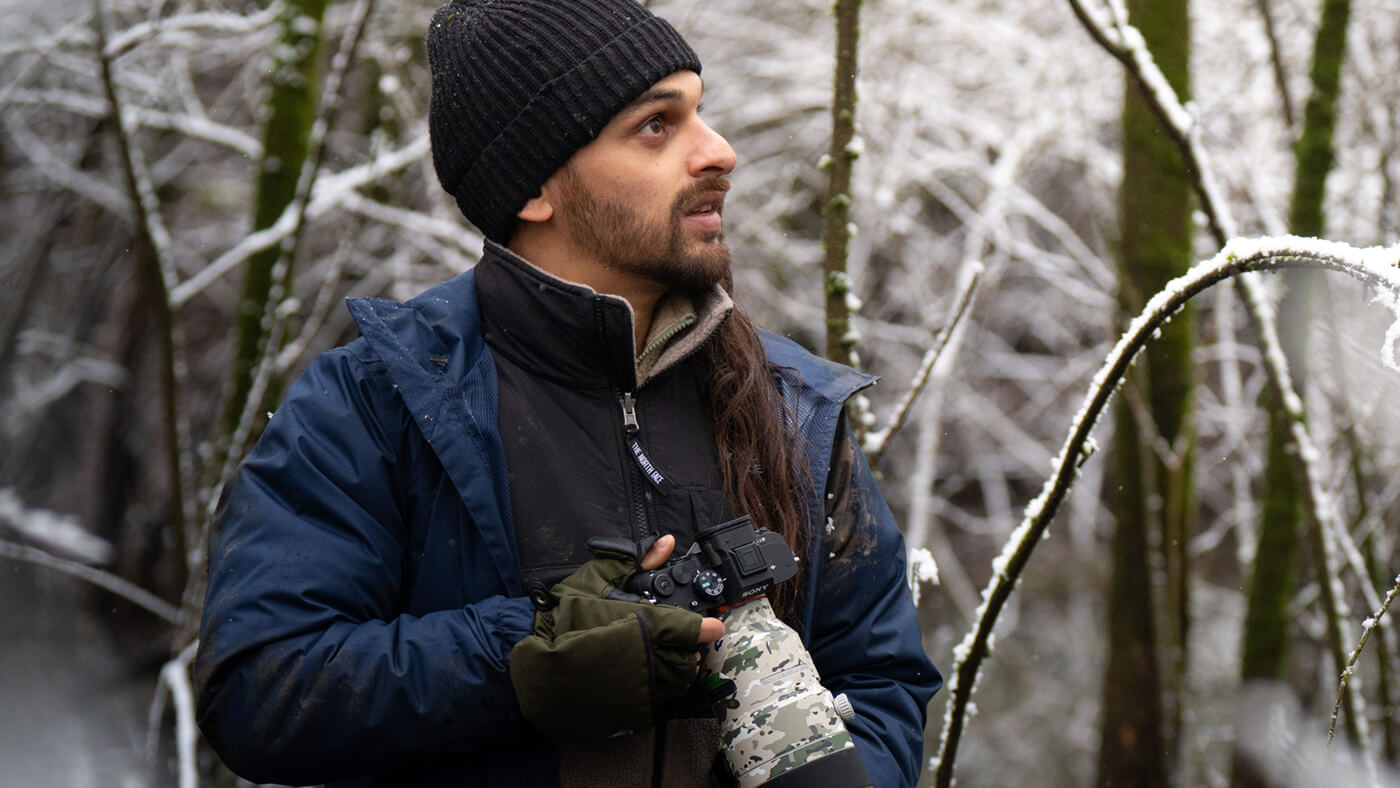 Wildlife Fotografie mit der Sony Alpha 7V