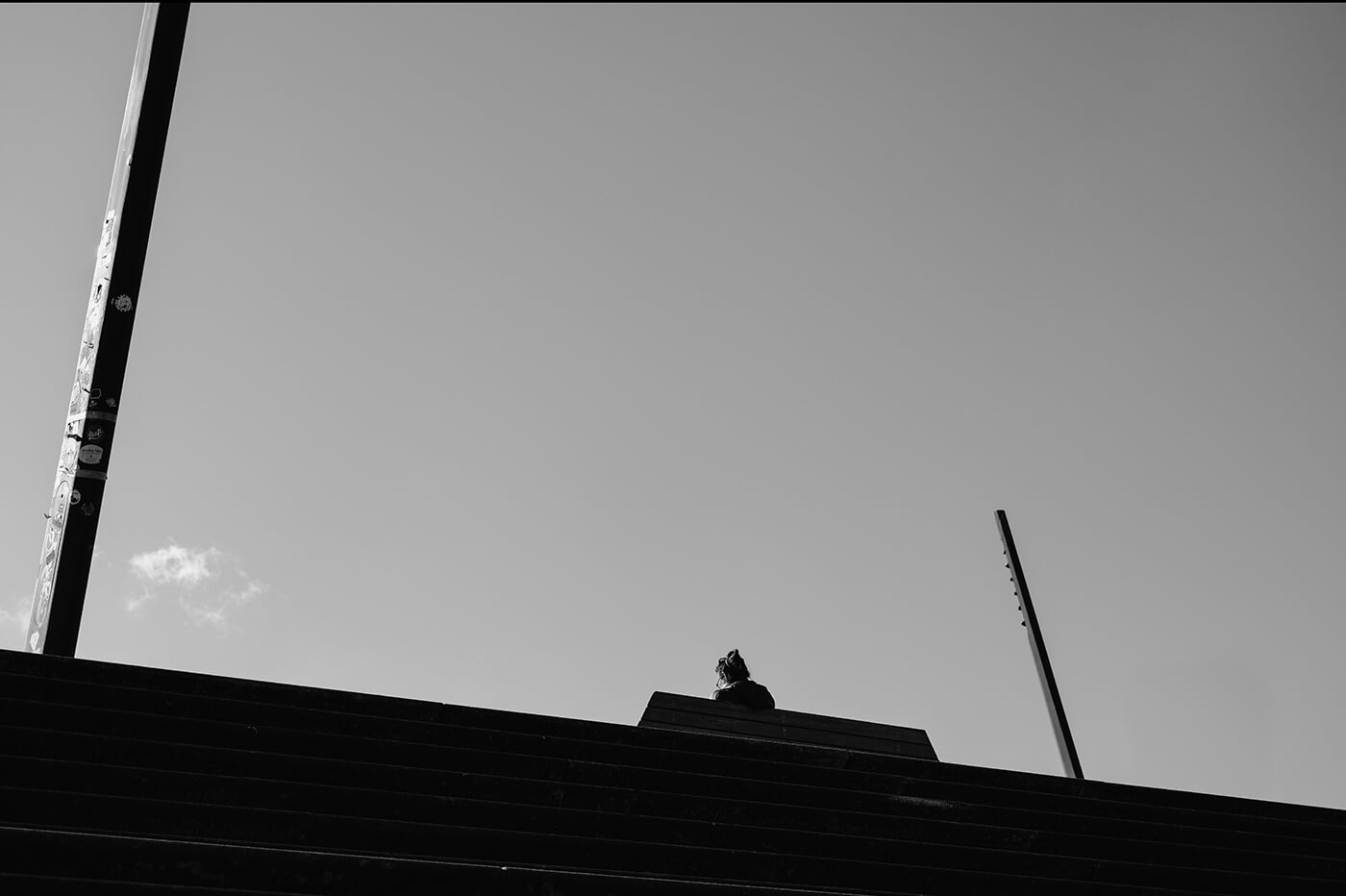 Panasonic Lumix S1R II Praxistest Foto Monochrom
