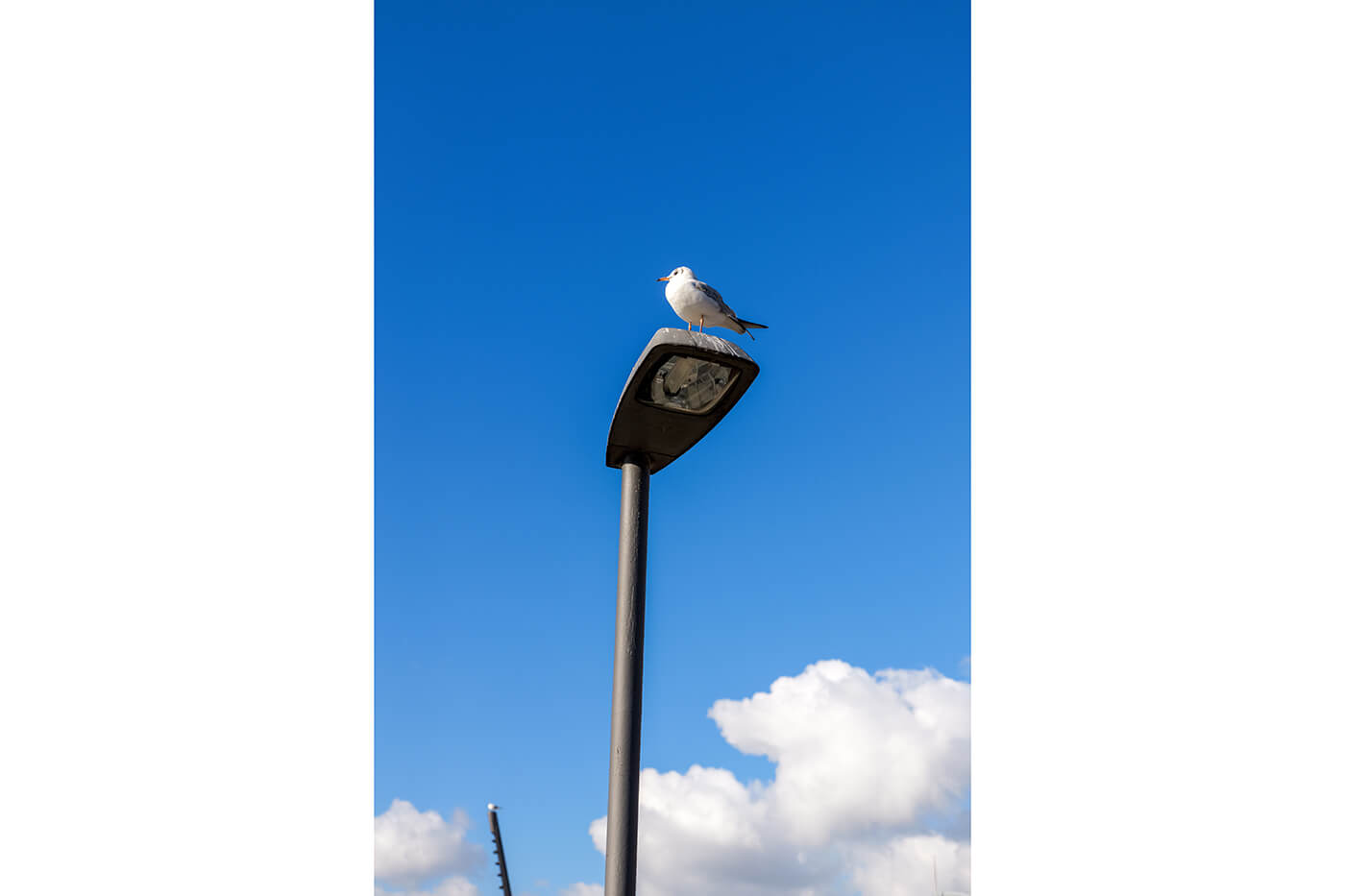 Lumix S1R II Testbericht Foto Beispiel