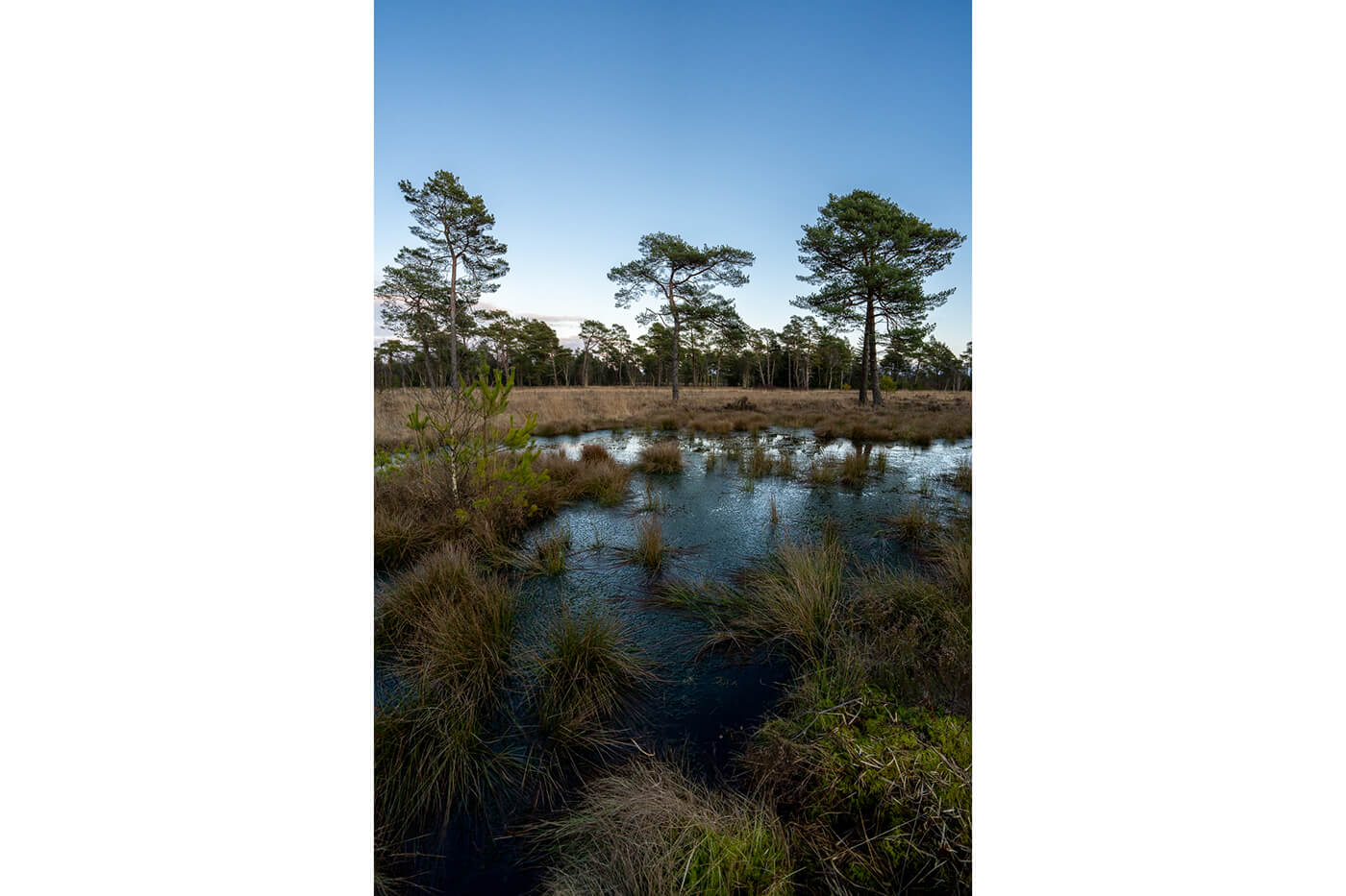 Sony FE 16mm F1.8 G - Natur