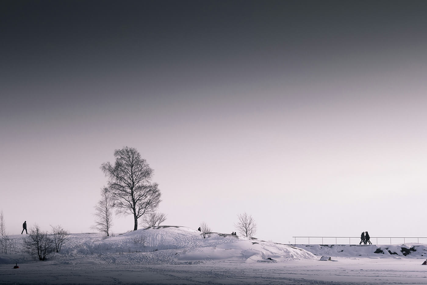 Winterlandschaften dramatisch einfangen