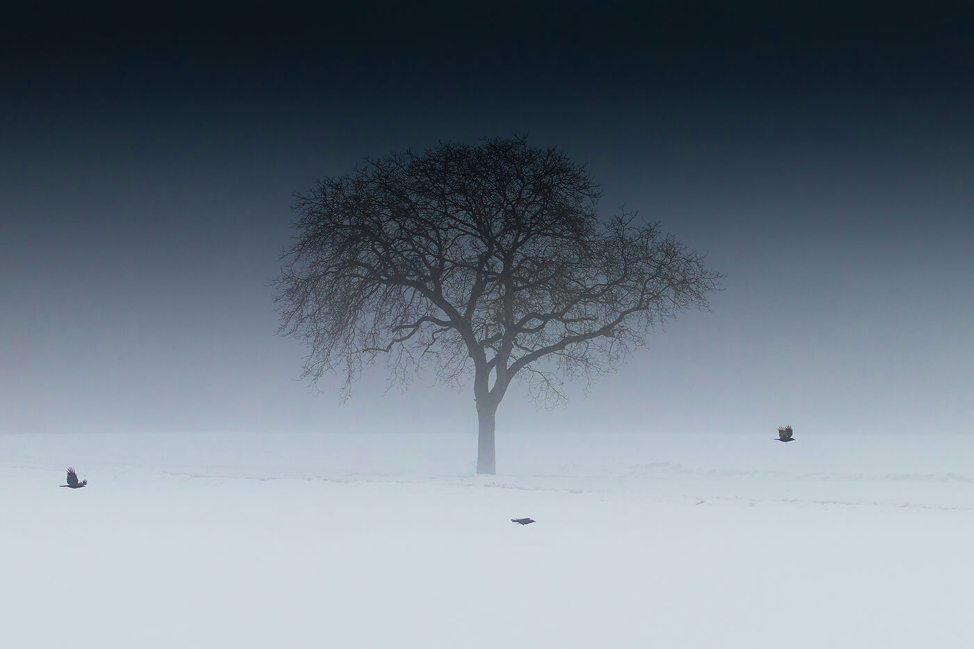 Silhouette im Schnee Fotografieren