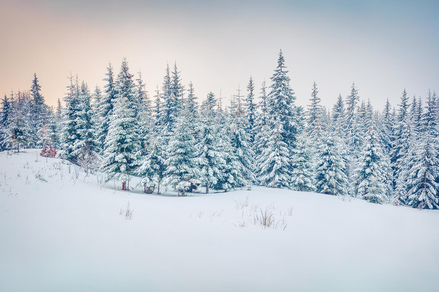 Fotografieren im Winter