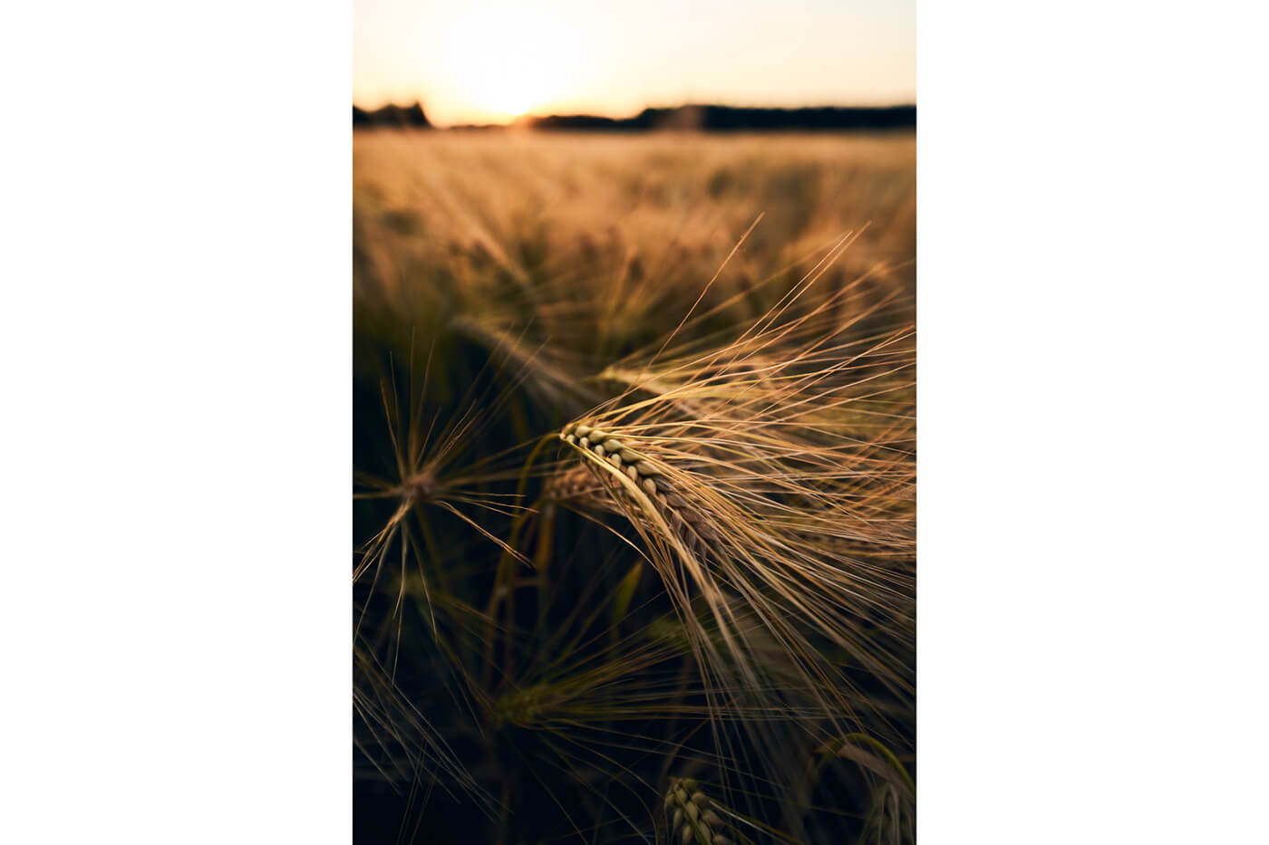 Tamron 12-20mm f2.8 Beispielbilder Nahaufnahme
