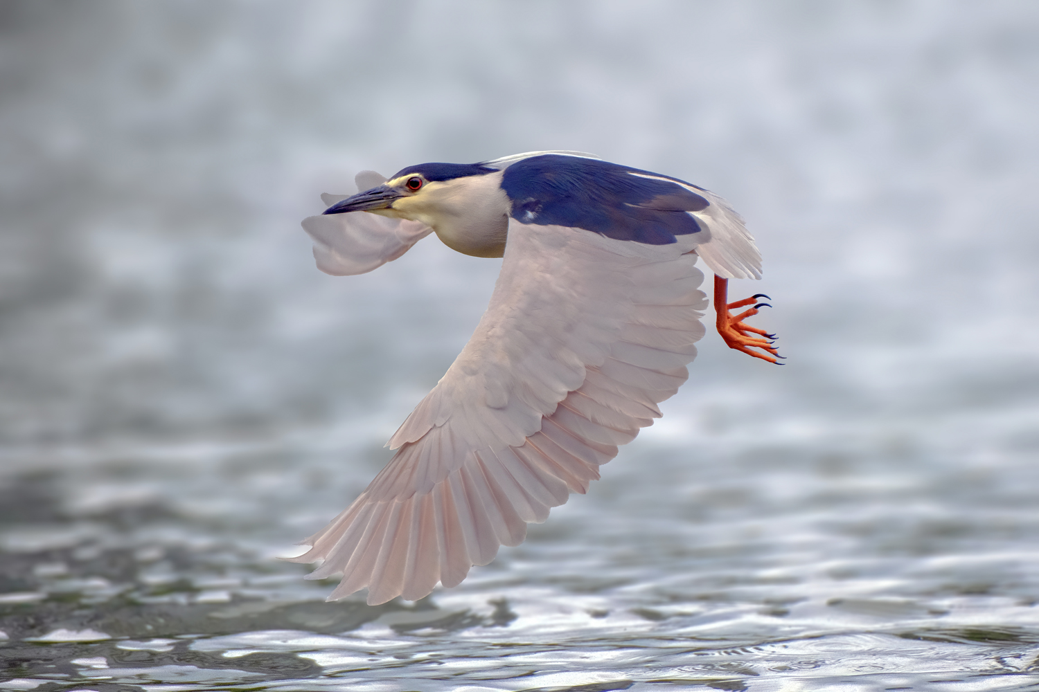 Fujifilm X-T30 III mit objektorientierter Motiverkennung