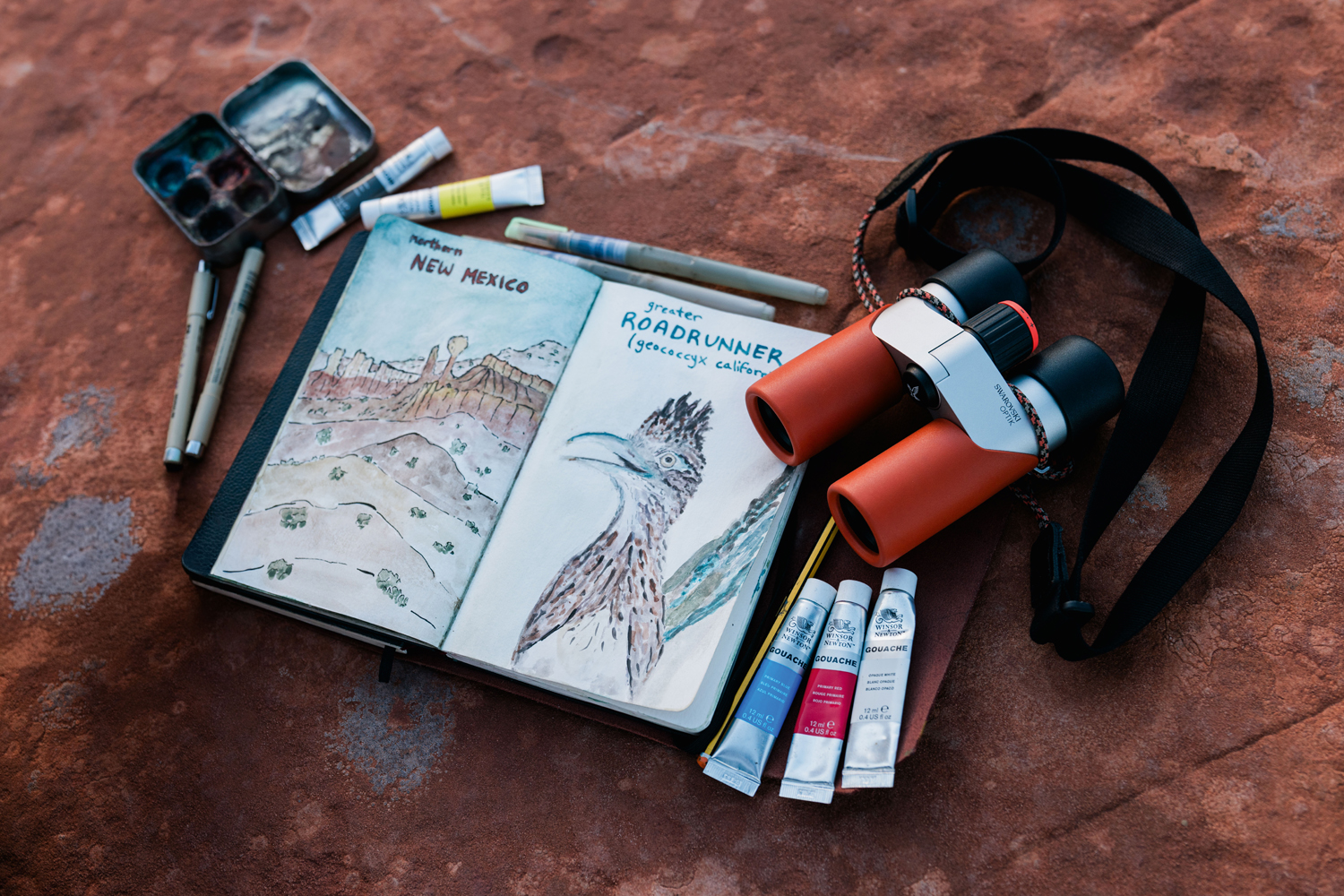 Swarovski Fernglas CL Companion bestellen