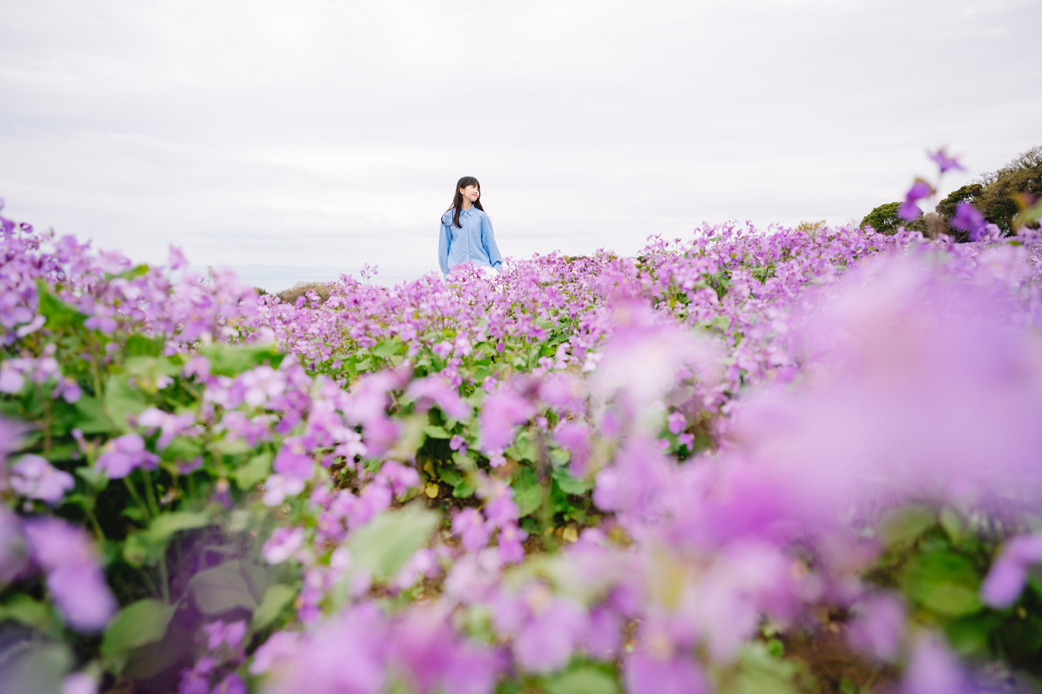 Tamron 20-40mm F2.8 Di III VXD für Nikon Z-Mount bestellen