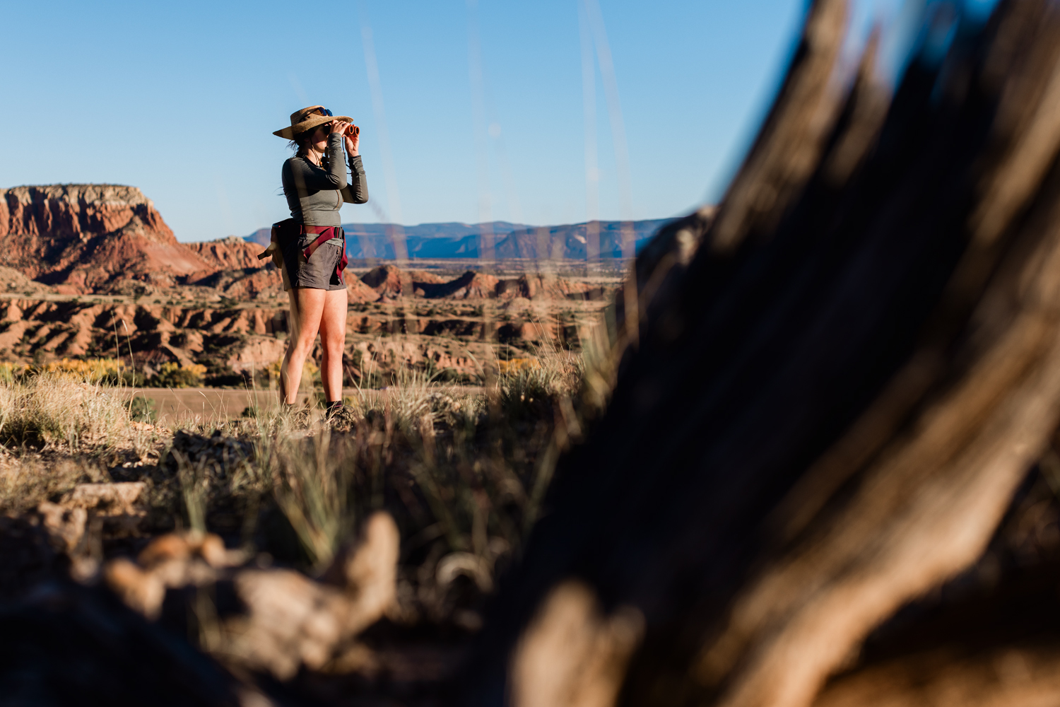 Swarovski Fernglas CL Companion mit leichtem Gewicht