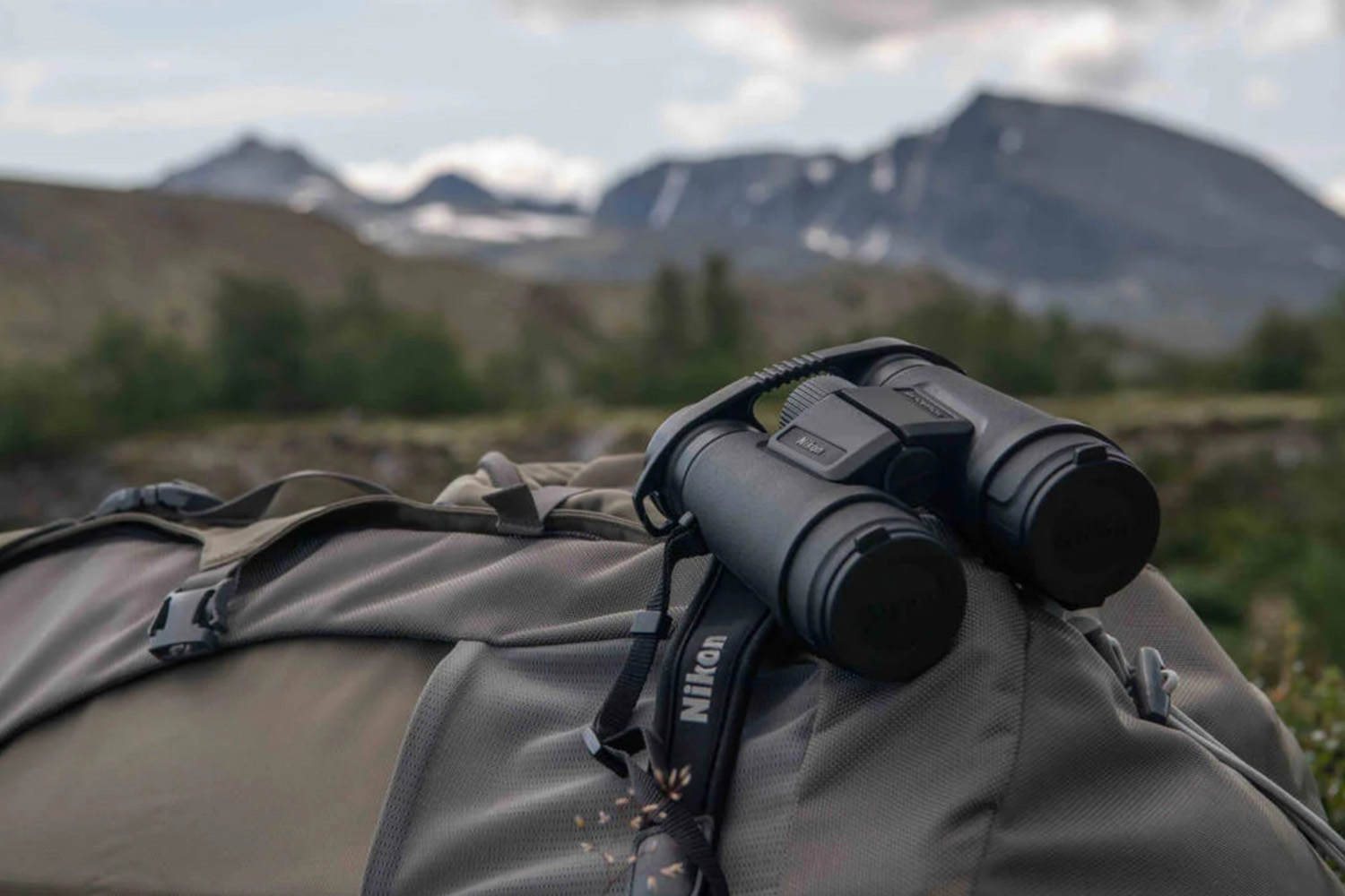Nikon Fernglas MONARCH M5 bestellen