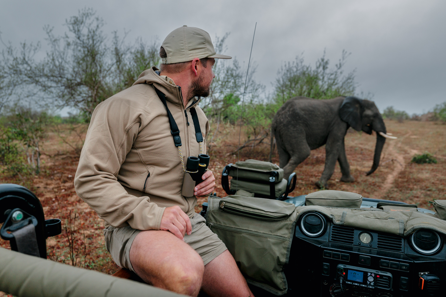 Swarovski CL Companion online bestellen