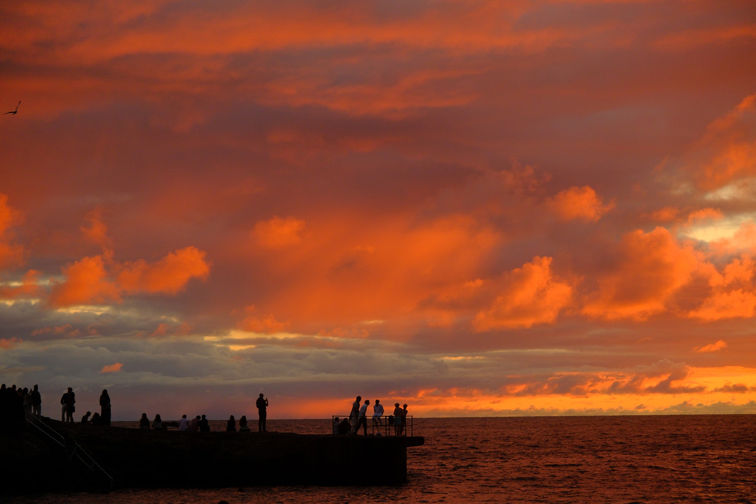 Fujifilm X-T30 III kaufen