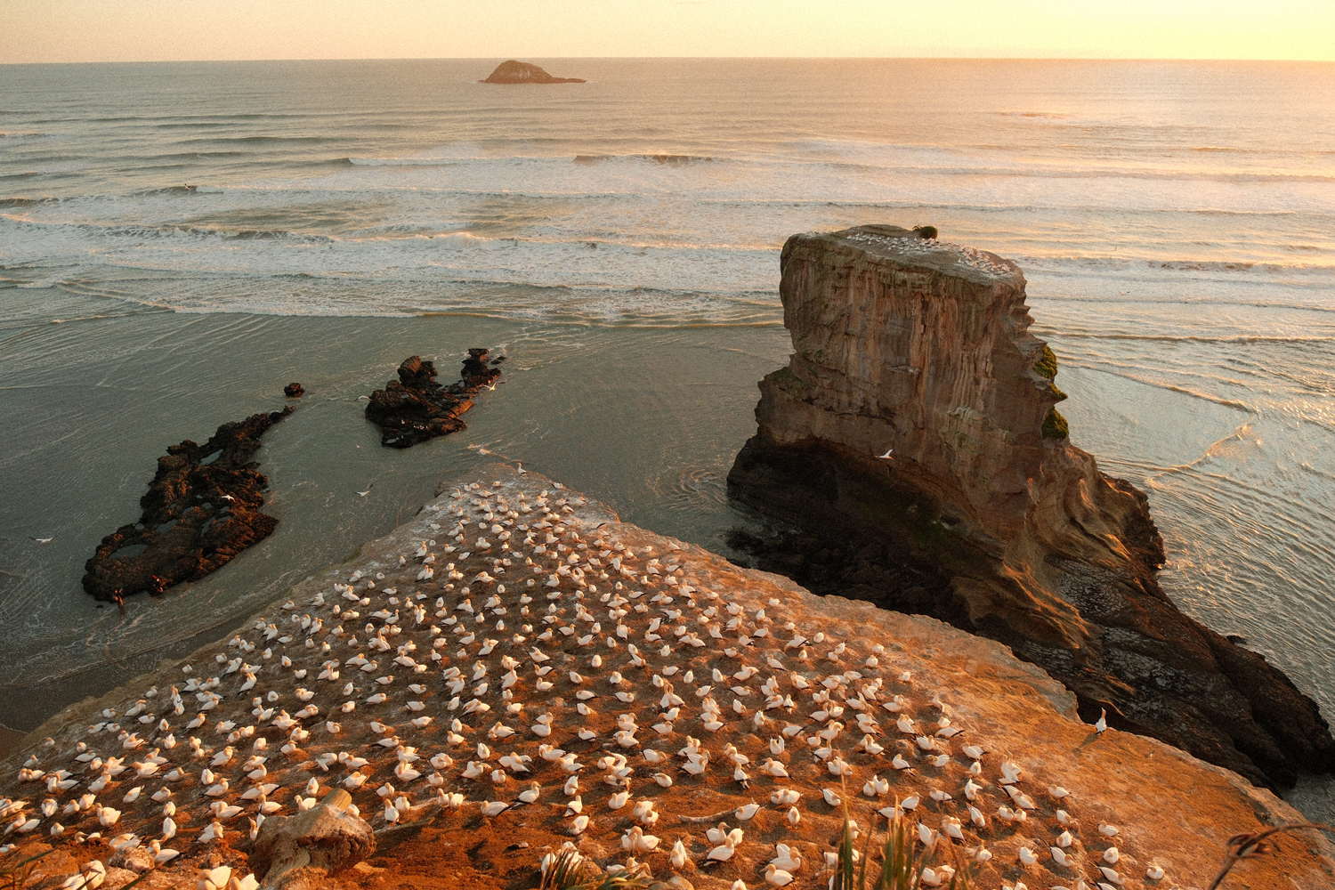 Leistungsstarke Fujifilm X-T30 III