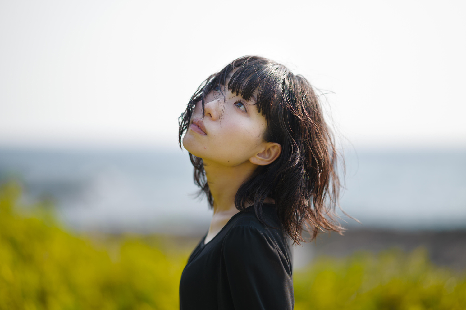 Sigma 85mm F1.2 DG Art bestellen