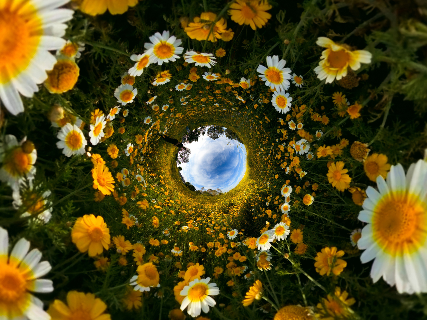 GoPro MAX2 einfache Hochformat- und Breitbildaufnahmen