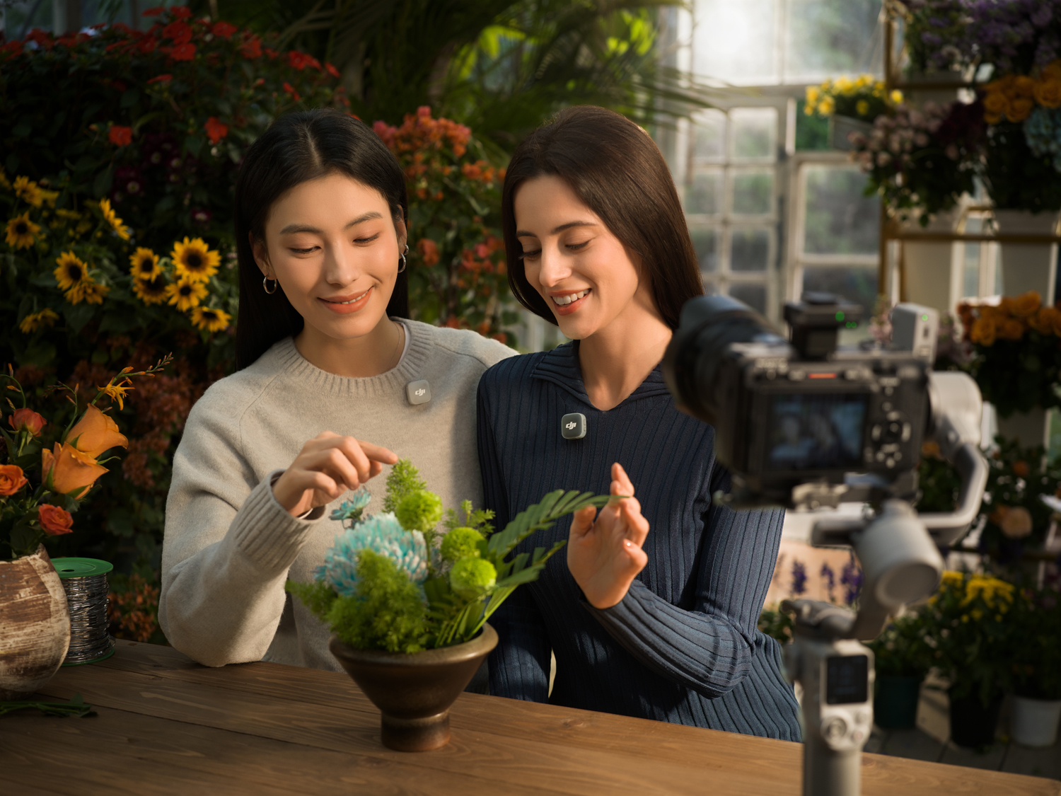 DJI Mic Mini 2 mit automatischer Pegelbegrenzung