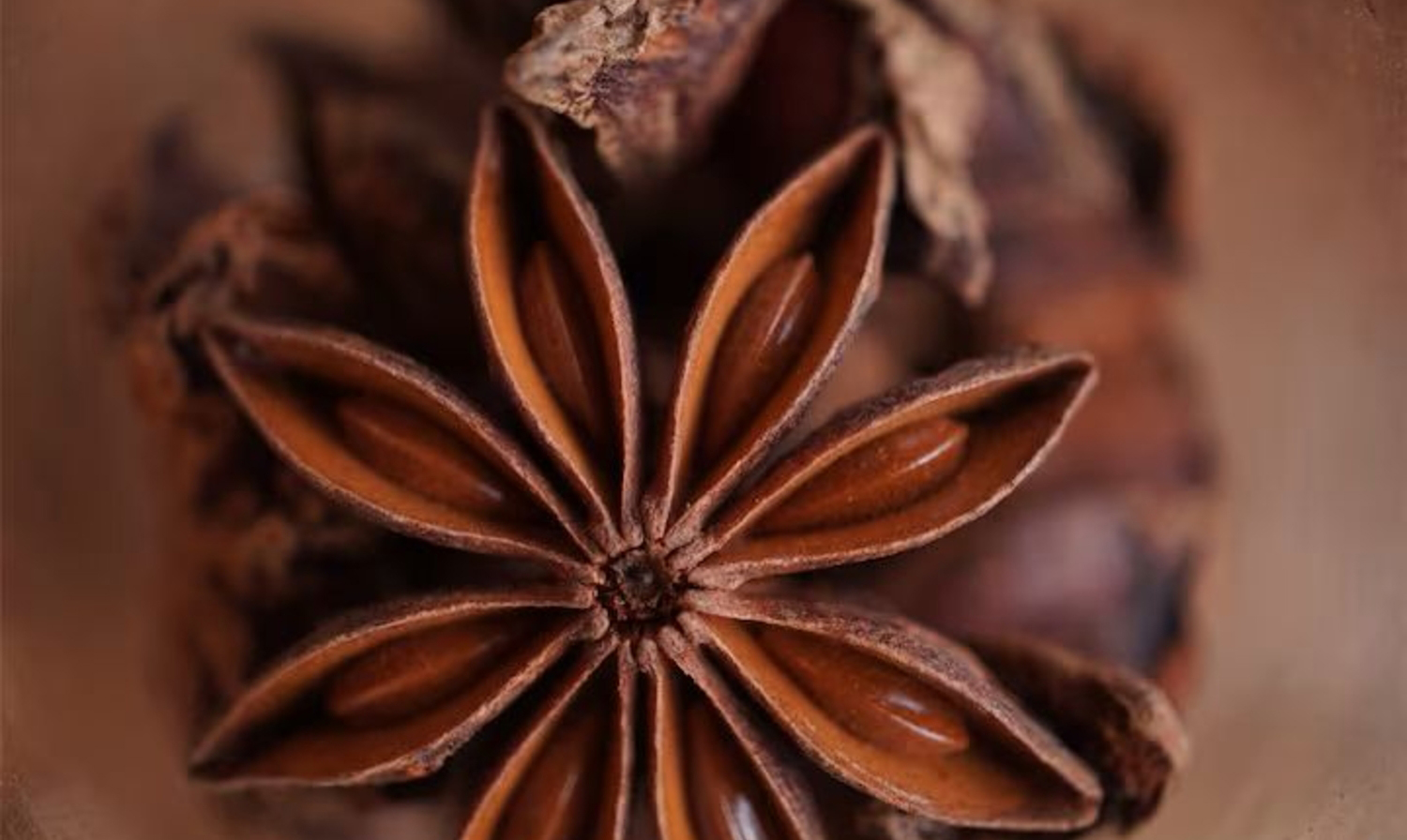 Makroaufnahme mit der ZV-E10