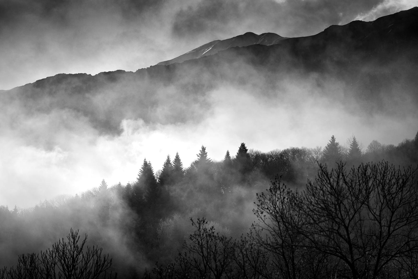 Auch für professionelle Fotografen