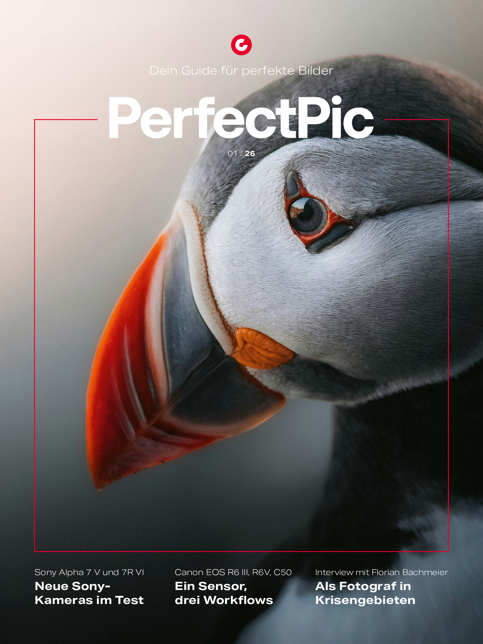 Perfect Pic - 01/26