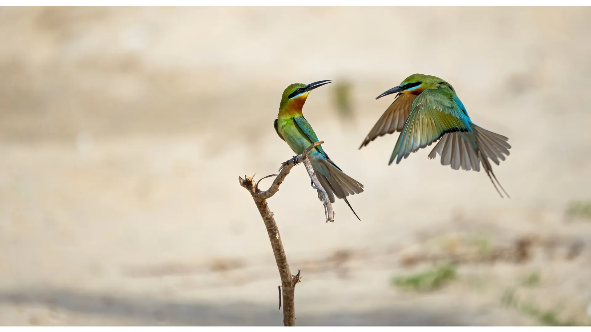 Freihändig fotografieren