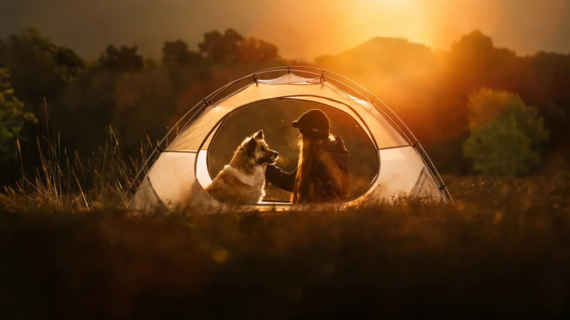 Gebaut für ein schönes Bokeh