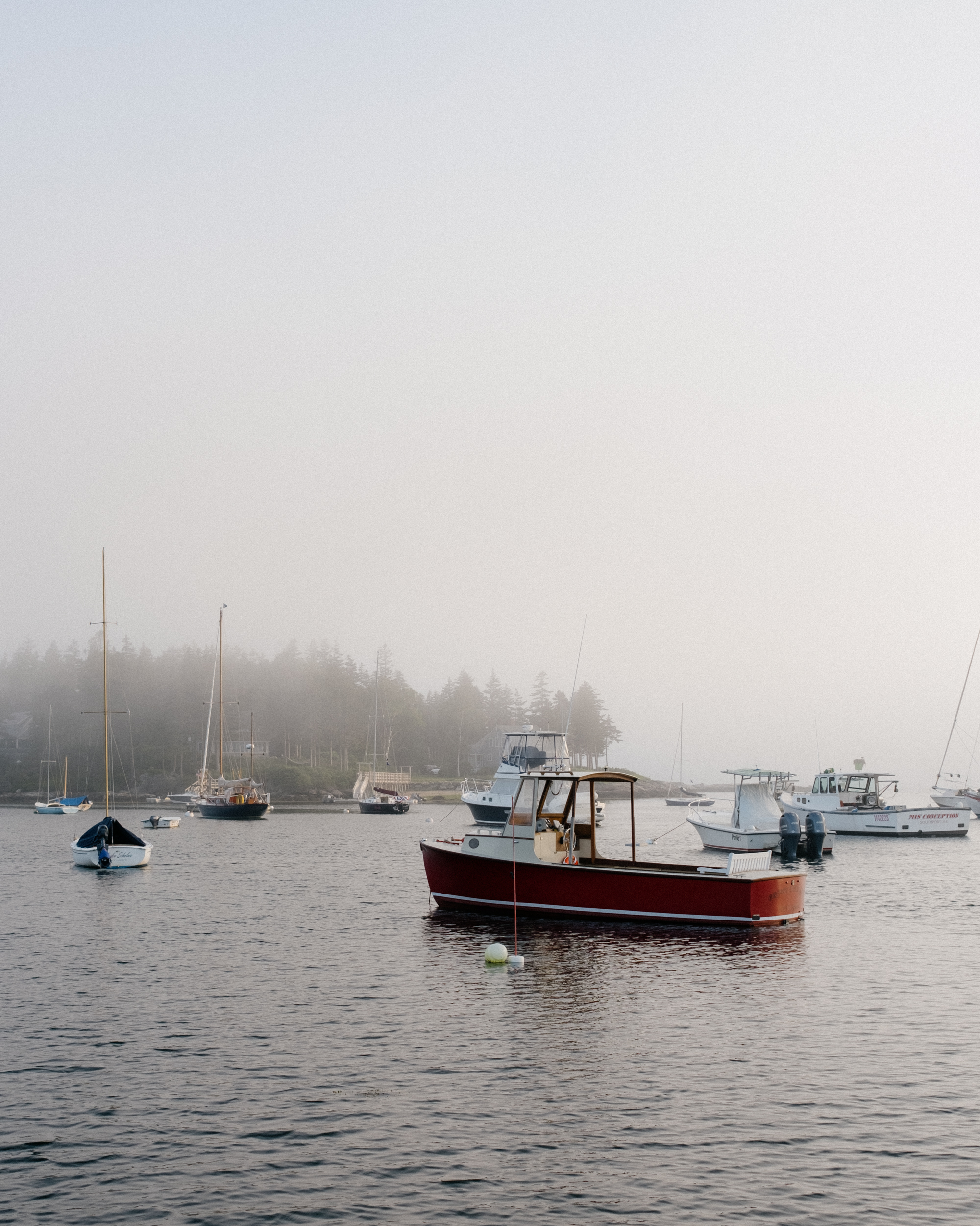 Hohe F1.4-Lichtstärke und hervorragende Auflösung bereits bei maximal geöffneter Blende