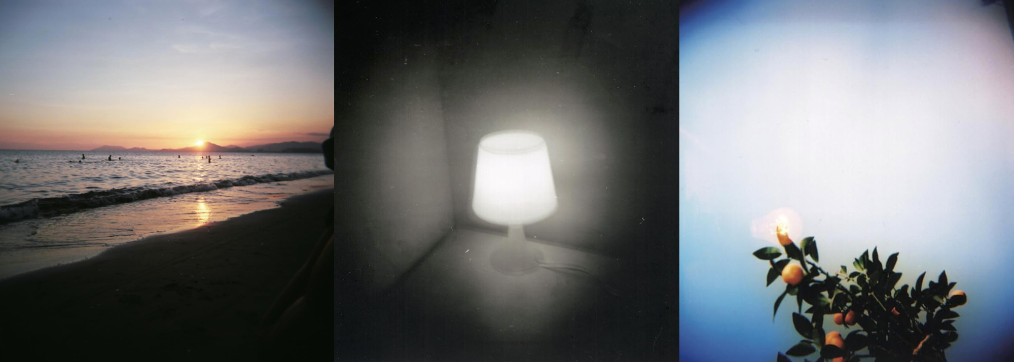 Holga 120N kaufen