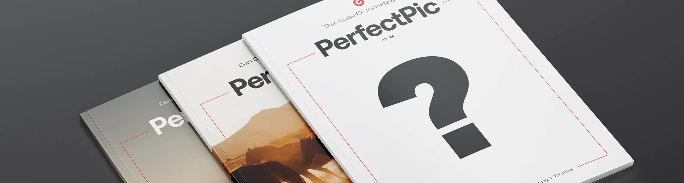 PerfectPic Cover-Wettbewerb