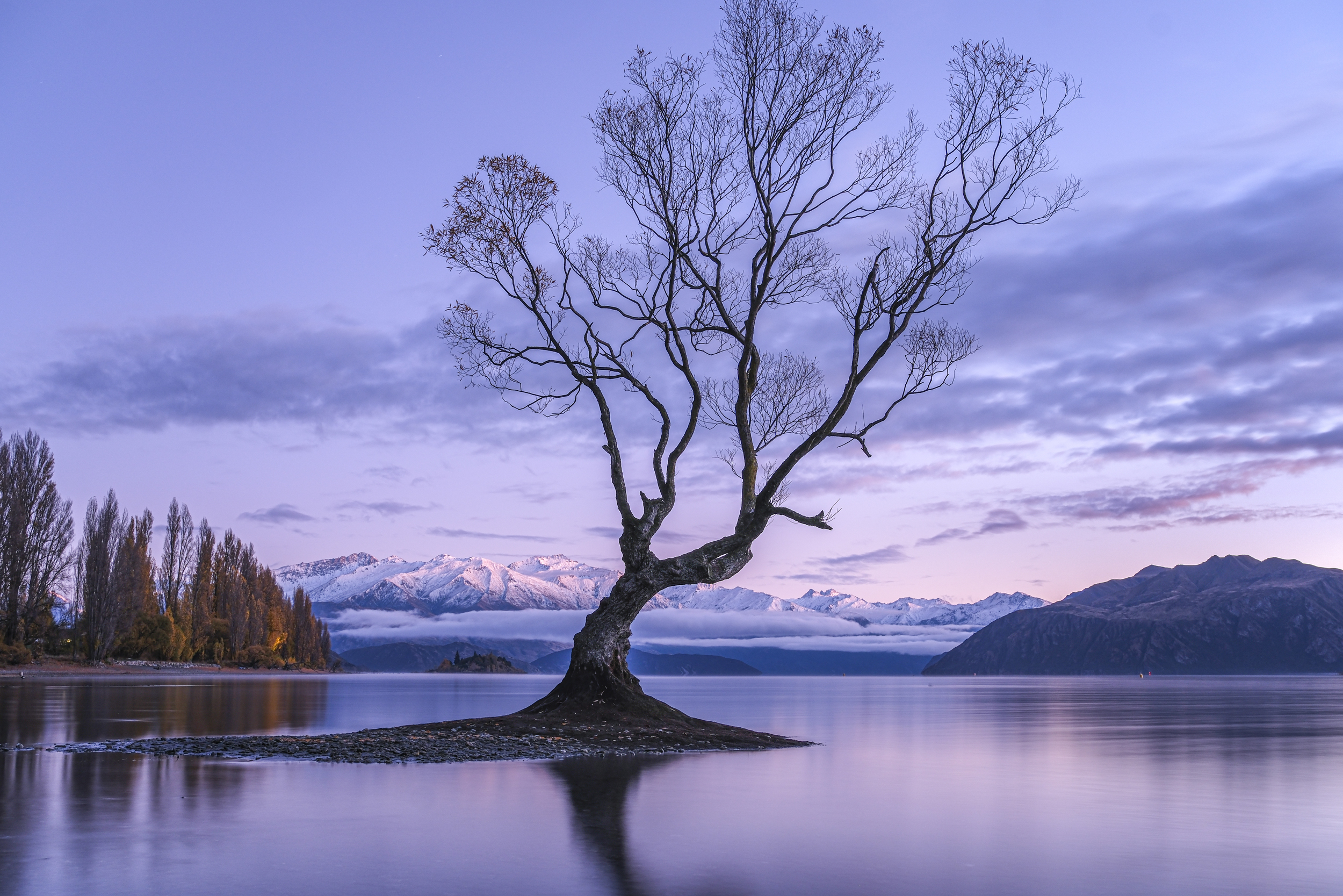 40,2-Megapixel-Sensor X-Trans CMOS 5 HR