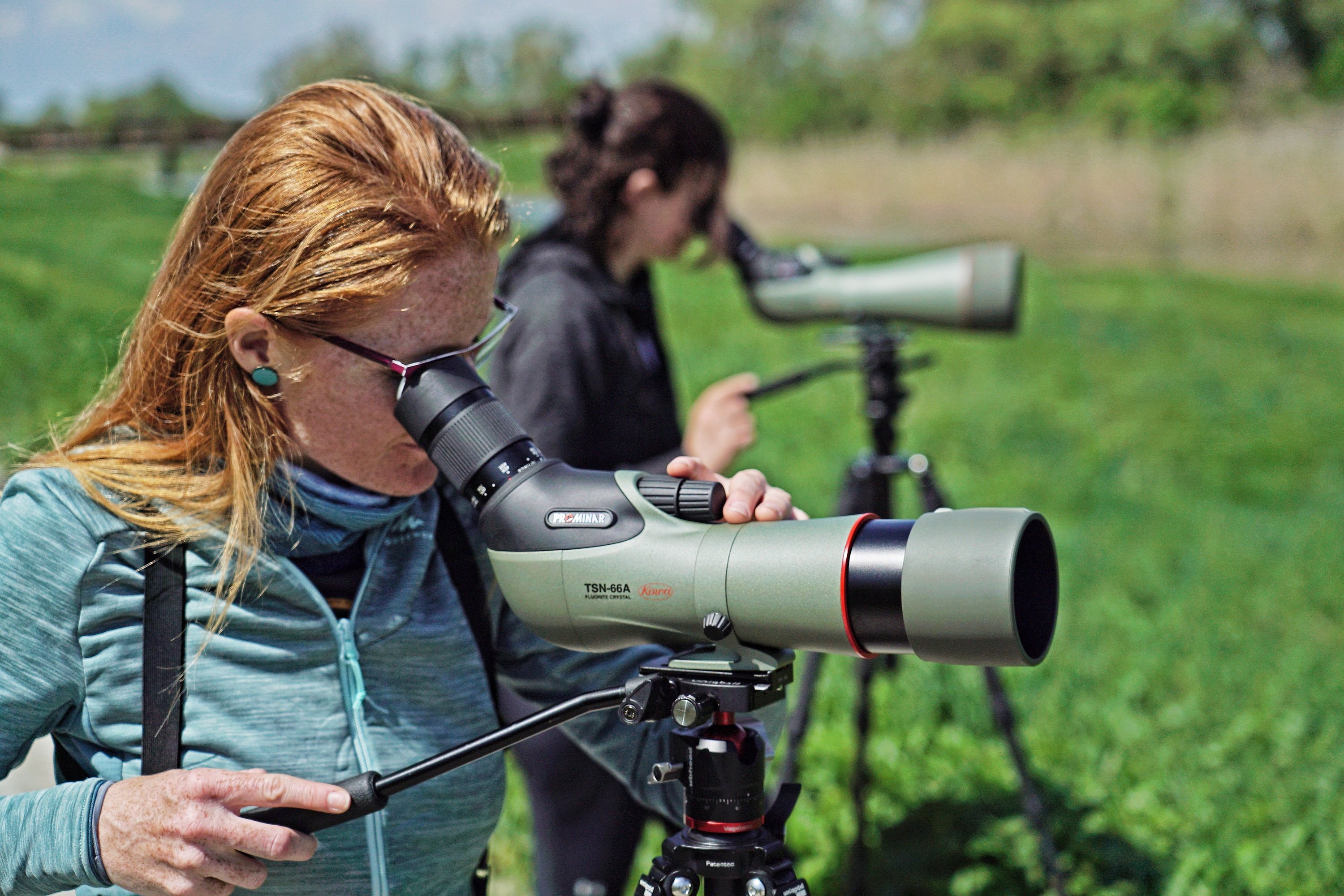 Linsen aus purem Fluoritkristall