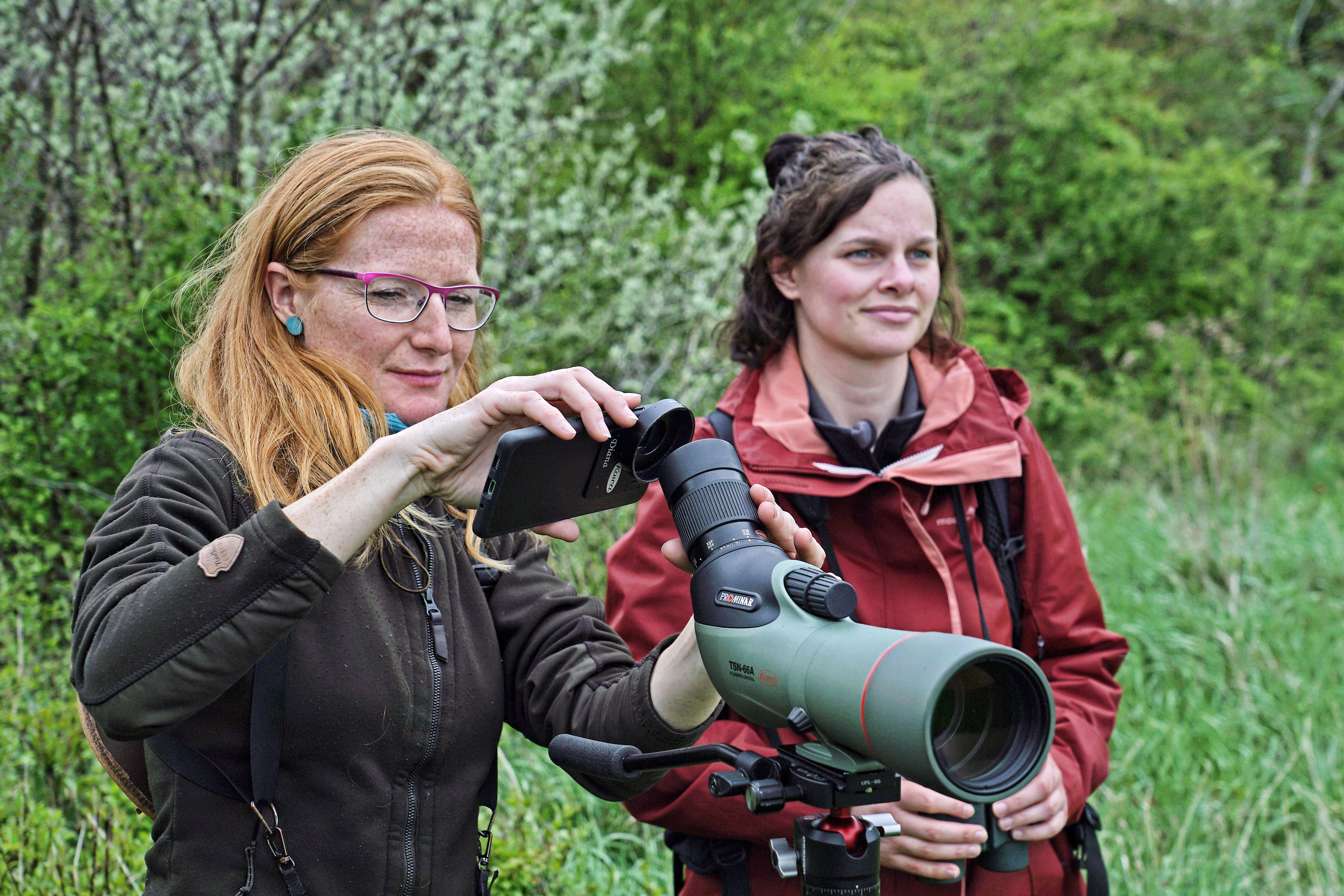 Kowa „SYSTEM“-Familie