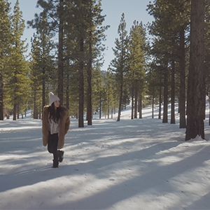 Mist [1/4] Diffusionsfilter