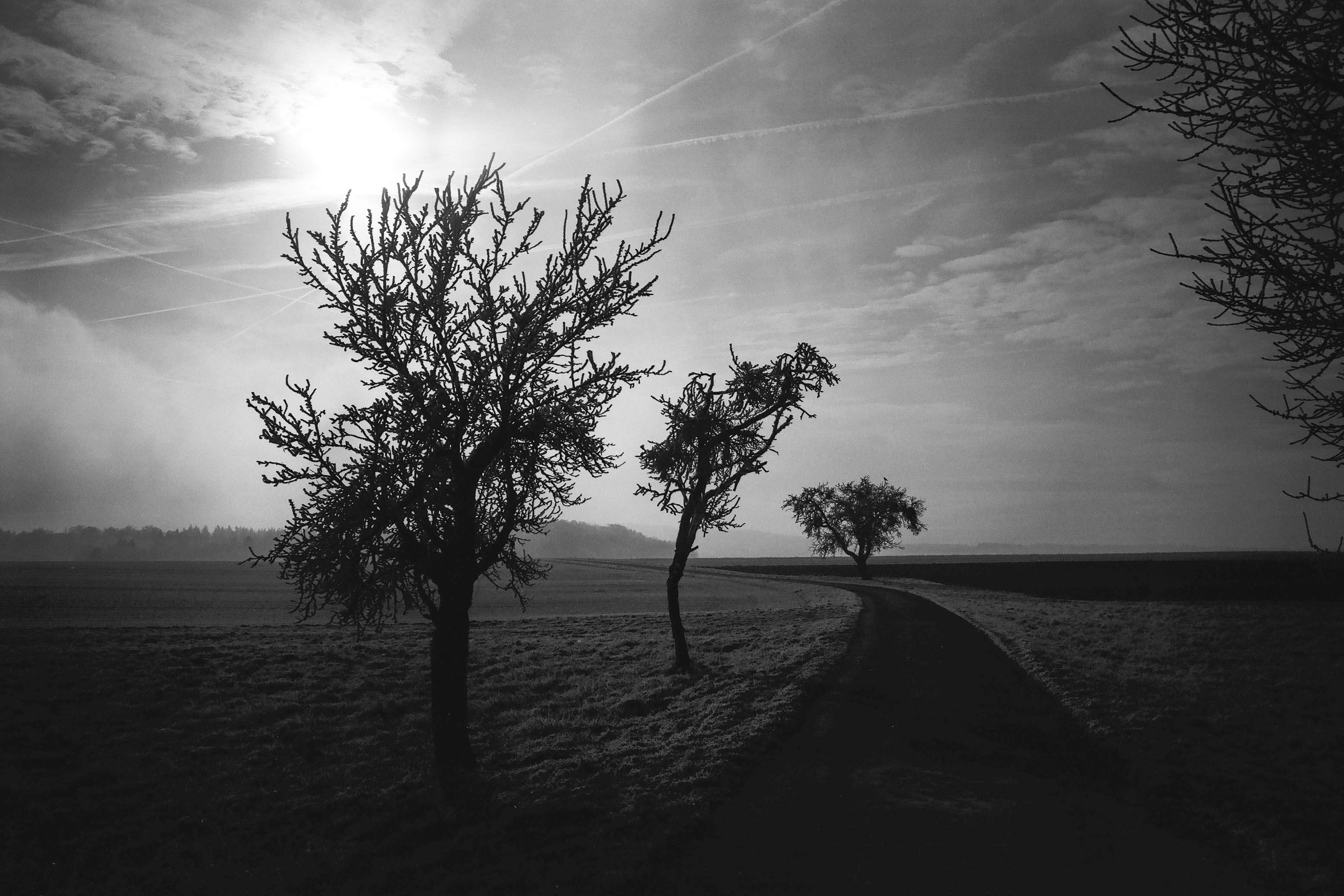 Landschaftsaufnahme mit dem MONPAN 50 Film von Leica