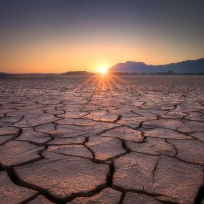 Die neu entwickelte AX-Vergütung ermöglicht kristallklare Bilder