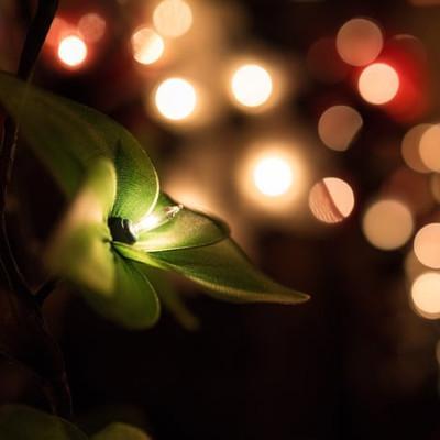 Lichterketten Punkt im Fokus mit Lichter Bokeh im Hintergrund