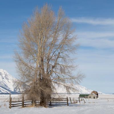 Herausragende AF-Leistung und VC-Bildstabilisator für scharfe und detailreiche Aufnahmen