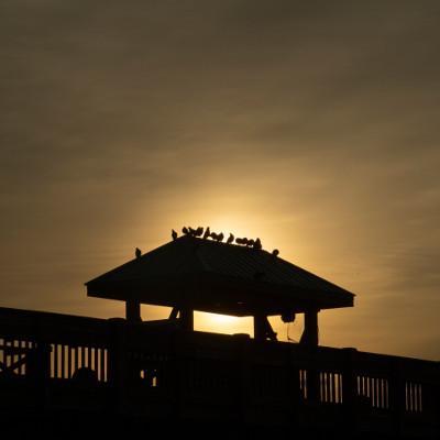 Fluorvergütung und wetterfeste Konstruktion bieten optimalen Schutz