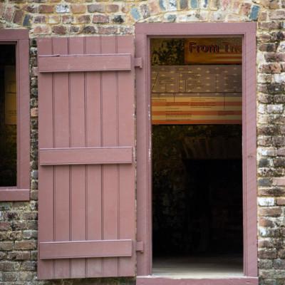 Perfekte Schärfe und brillantes Bokeh – die optimale Balance, um Dein Motiv zum Strahlen zu bringen