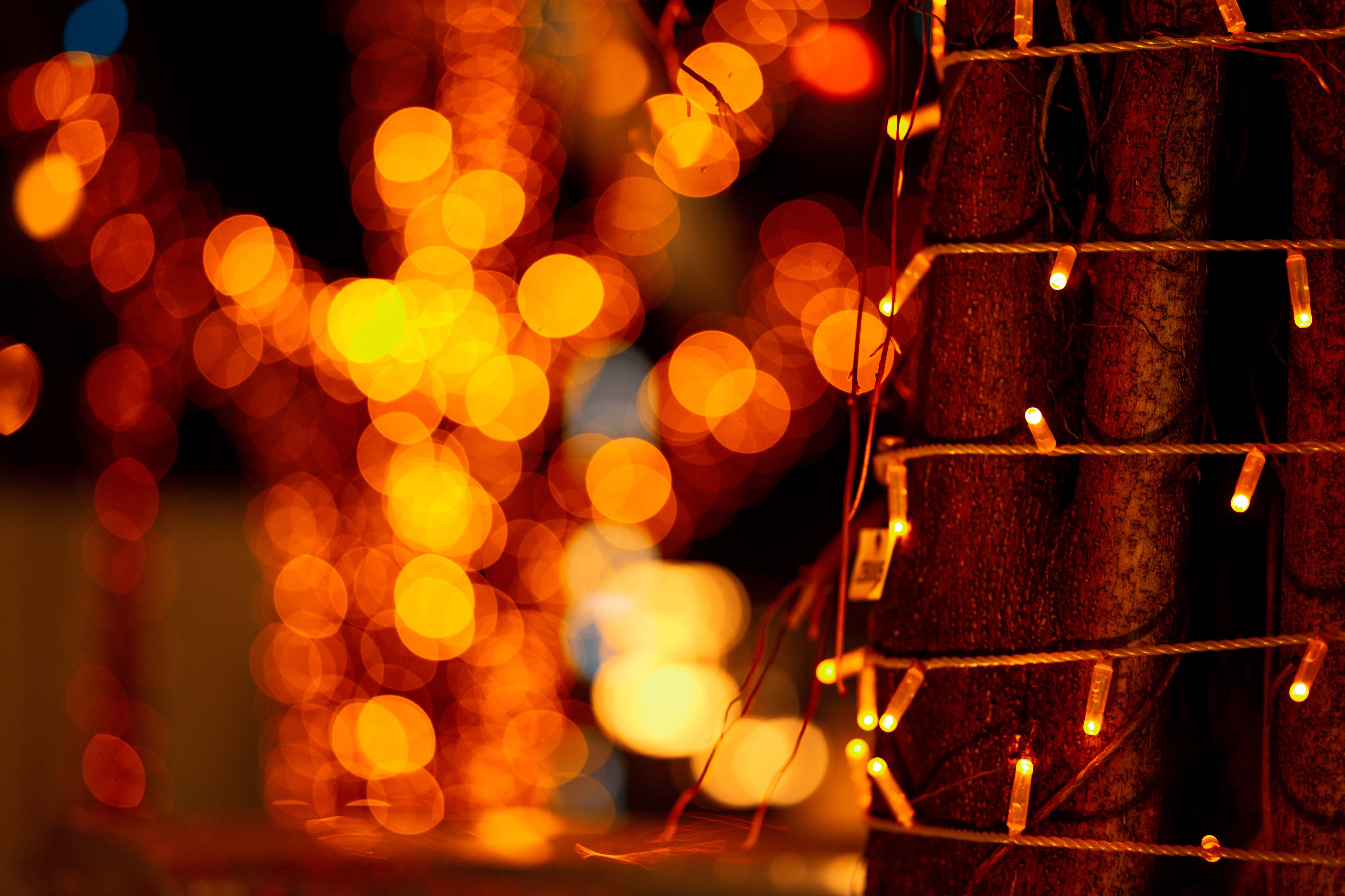 85mm klassische Festbrennweite mit schönem Bokeh von Rollei