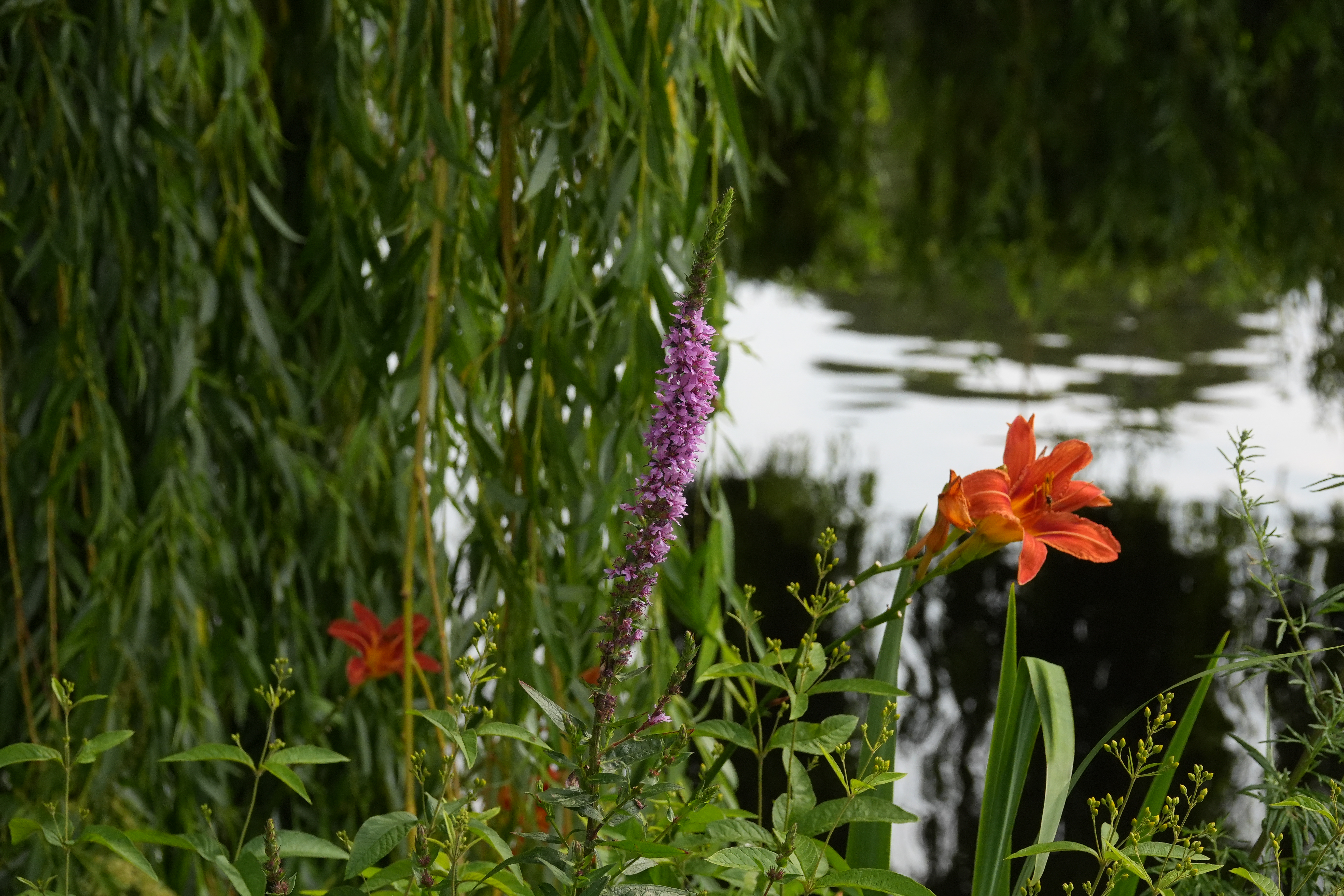 Sony RX10 V Beispielbilder