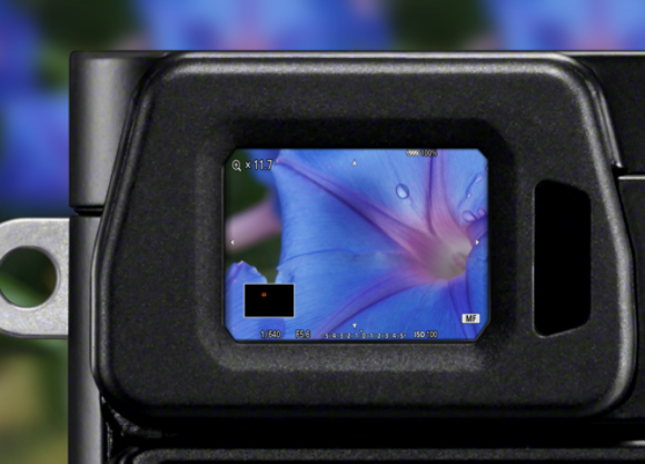 OLED Tru-Finder EVT