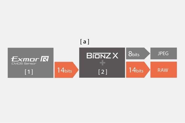 14-Bit RAW-Ausgabe für satte Farbabstufungen