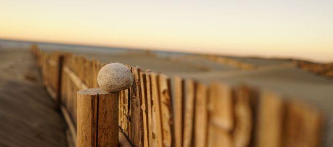 Sanftes, ausdrucksstarkes Bokeh