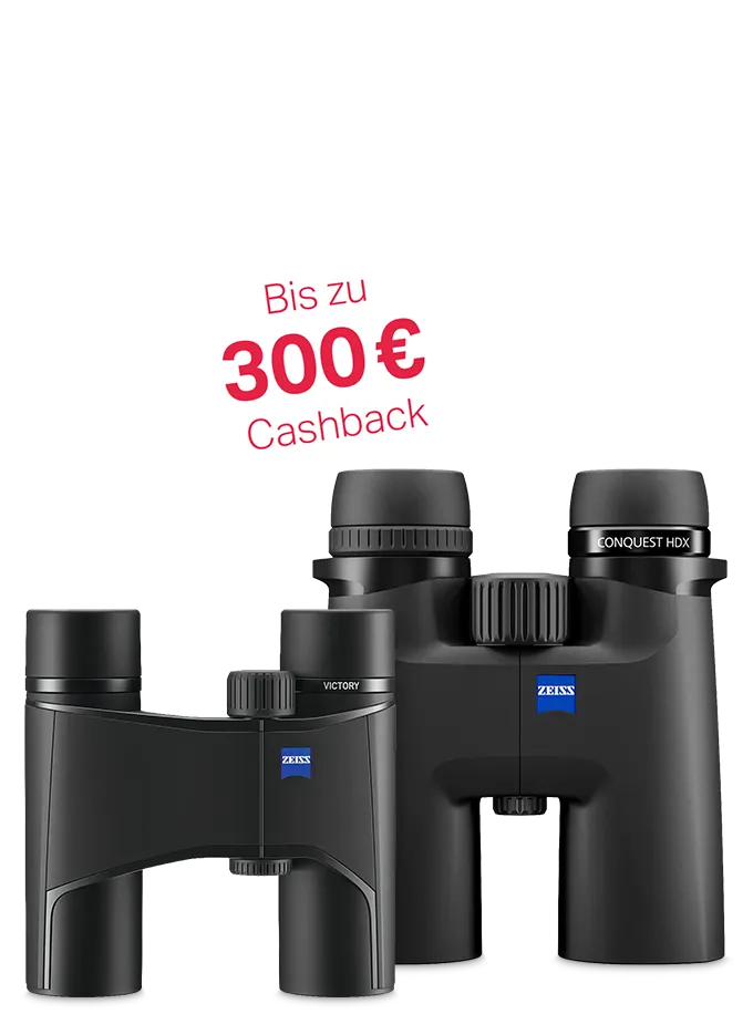 Bis zu 300 € Cashback