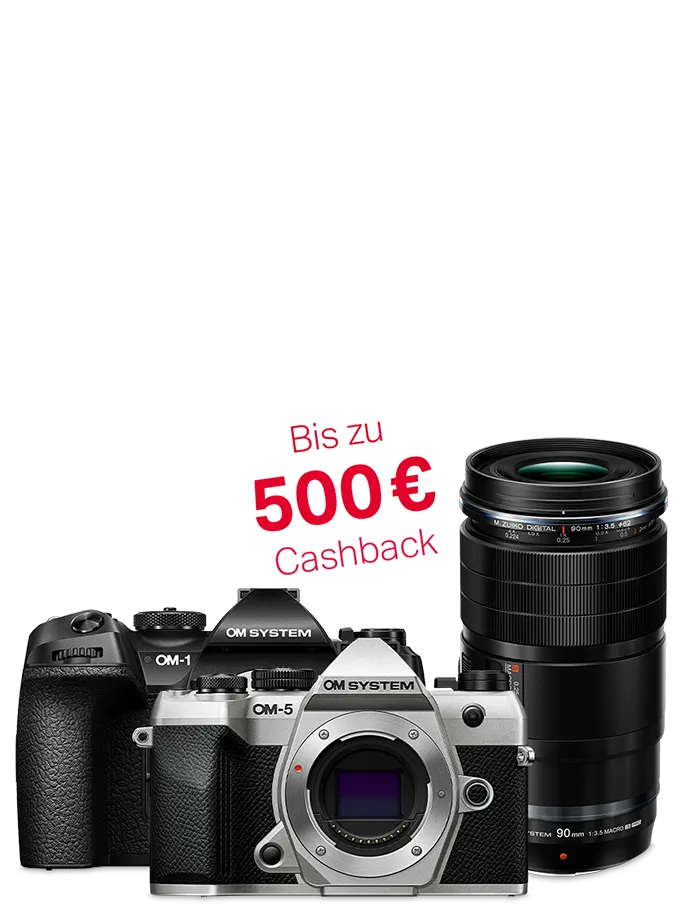 Bis zu 500 € Cashback