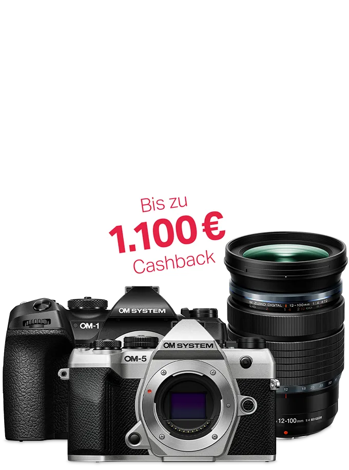 Bis zu 1.100 € Cashback