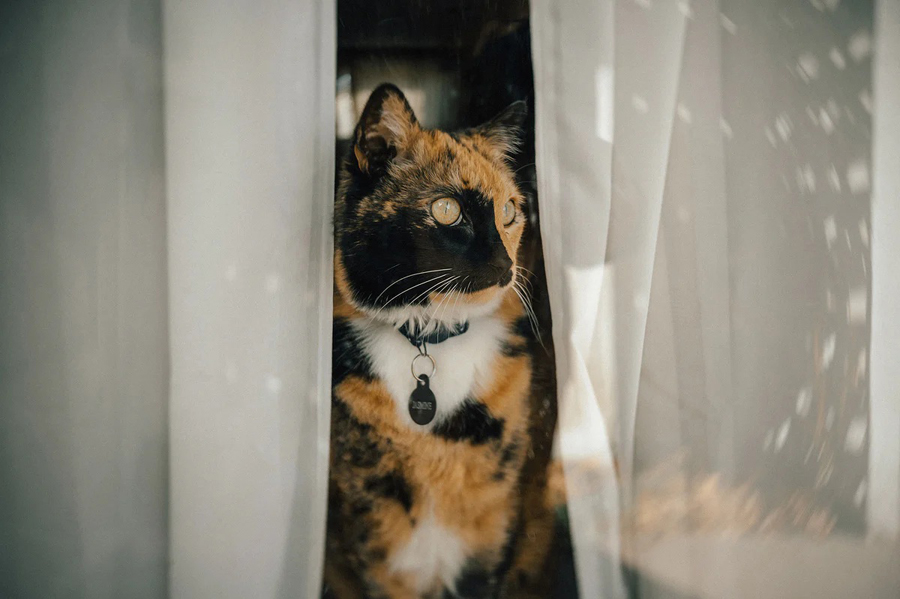 Das Lensbaby Twist 28 hebt das Motiv durch ein wirbelndes Bokeh hervor