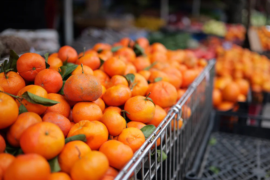 Beeindruckendes Bokeh: das LUMIX S40mm F2