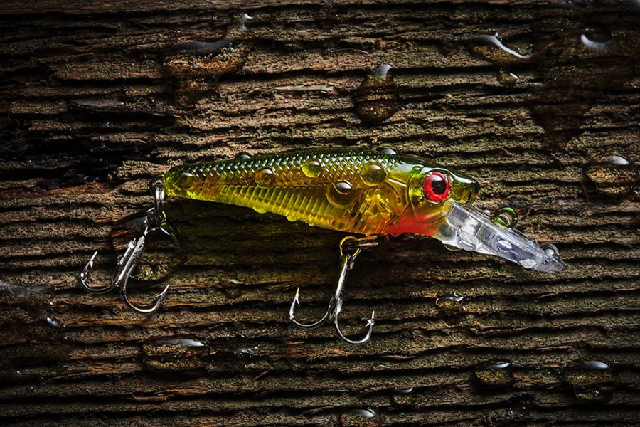Nahaufnahme mit dem Fujifilm FUJINON XF 80mm F2.8 R LM OIS WR Macro