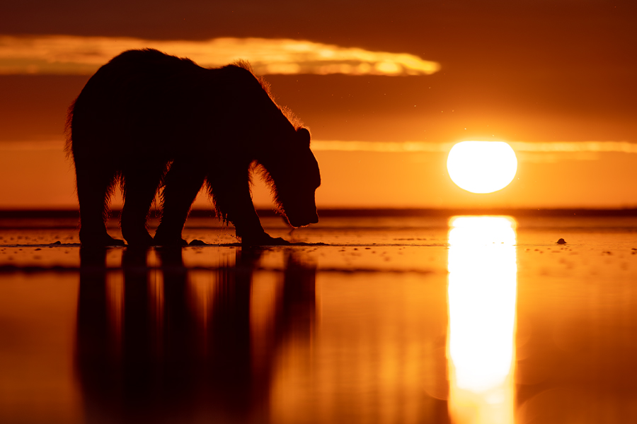 OM System M.Zuiko Digital ED 50-200mm F2.8 IS PRO mit IP53 Zertifizierung