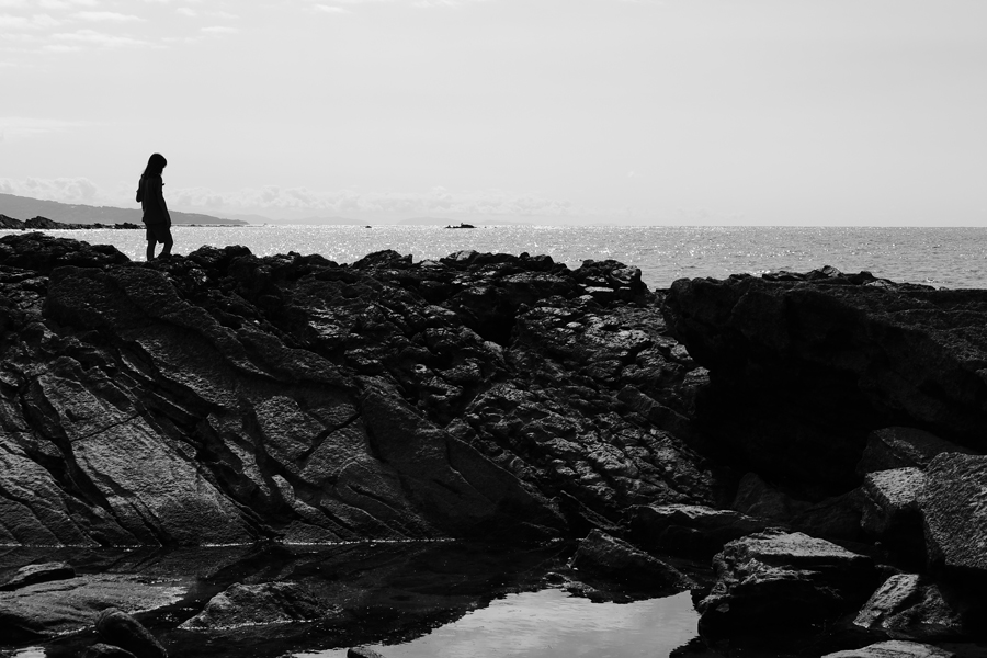 Fujifilm X-T30 III bestellen